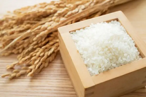 Arroz
